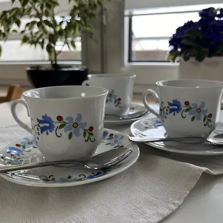 Goscinne Wieloryb Wladyslawowo