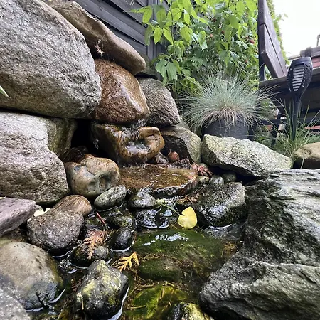 Guest house Goscinne Wieloryb 3*