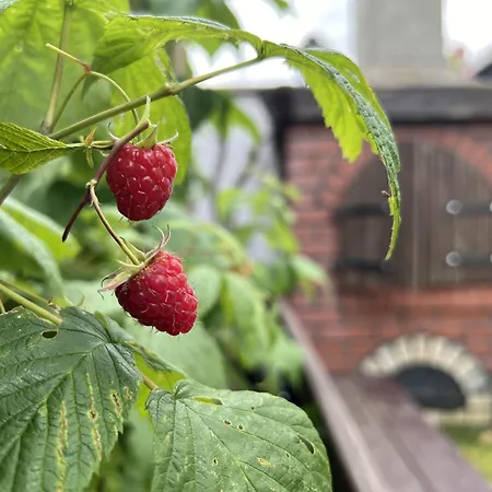 Guest house Goscinne Wieloryb Wladyslawowo