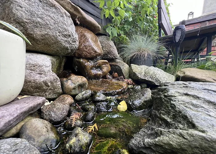 بيت ضيافة Goscinne Wieloryb 3*