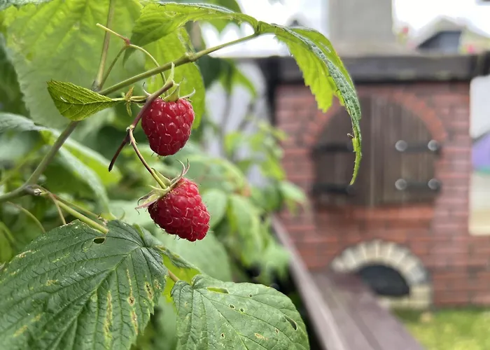 Penzion Goscinne Wieloryb Władysławowo