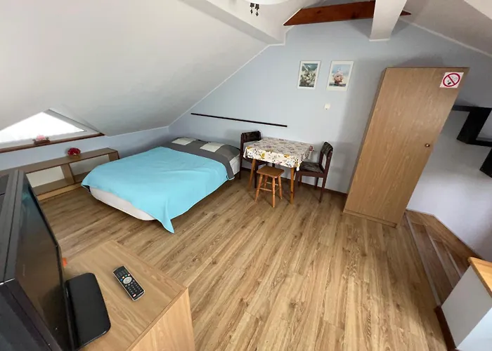 Goscinne Wieloryb 3* Władysławowo